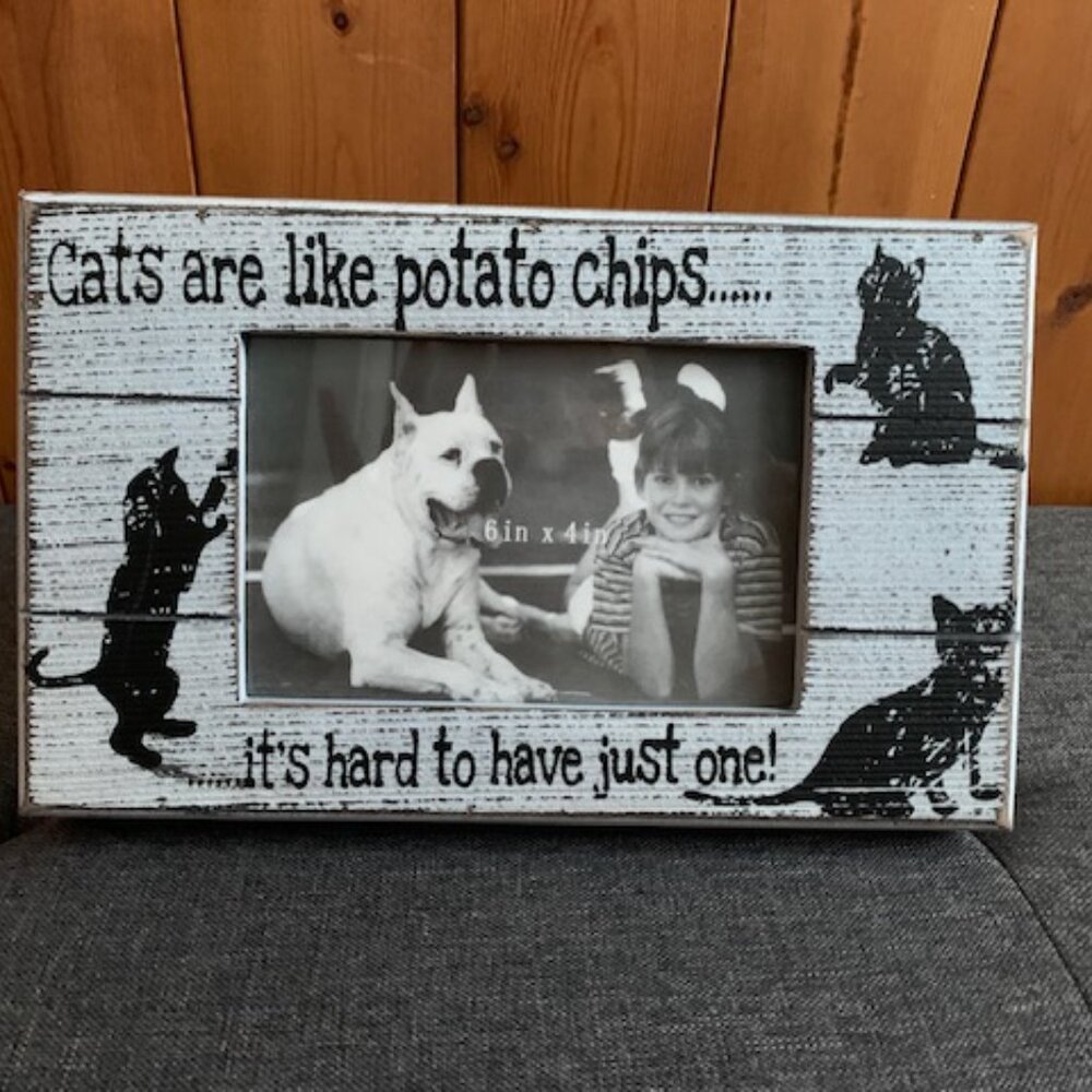 Cats are like potato chips.... it's hard to have just one!
